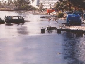 Weir Oil Skimmer 