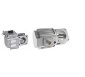 Throttle Valves with Positioner