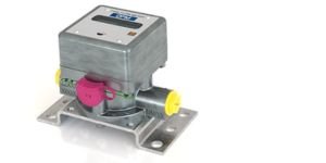 Fuel flow meter with LCD